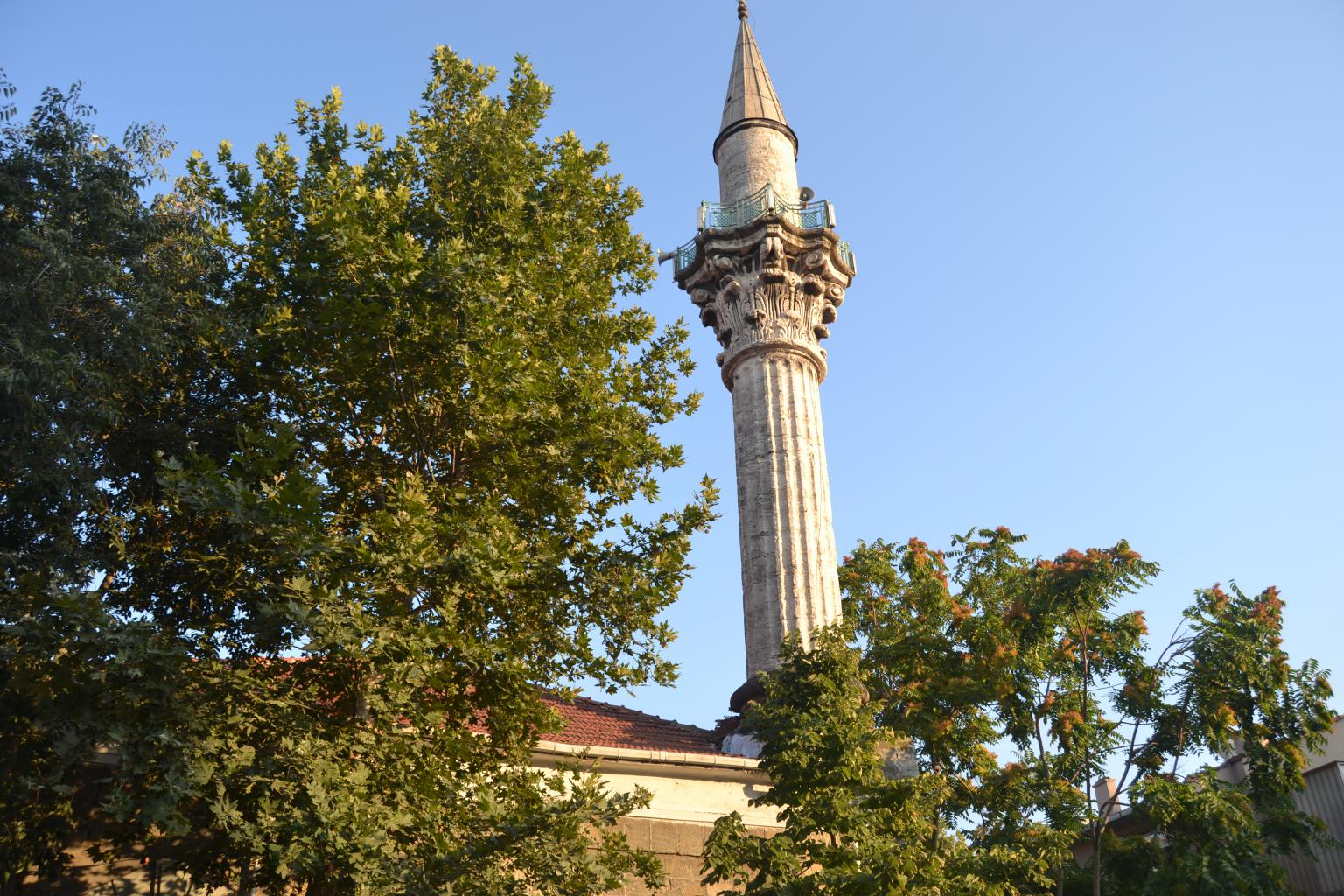 Hasanpaşa İlaçlama